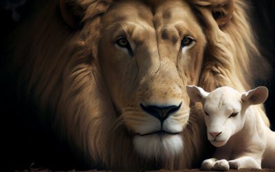 Le lion et l’agneau