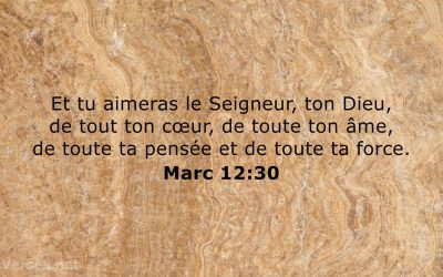 L’essentiel