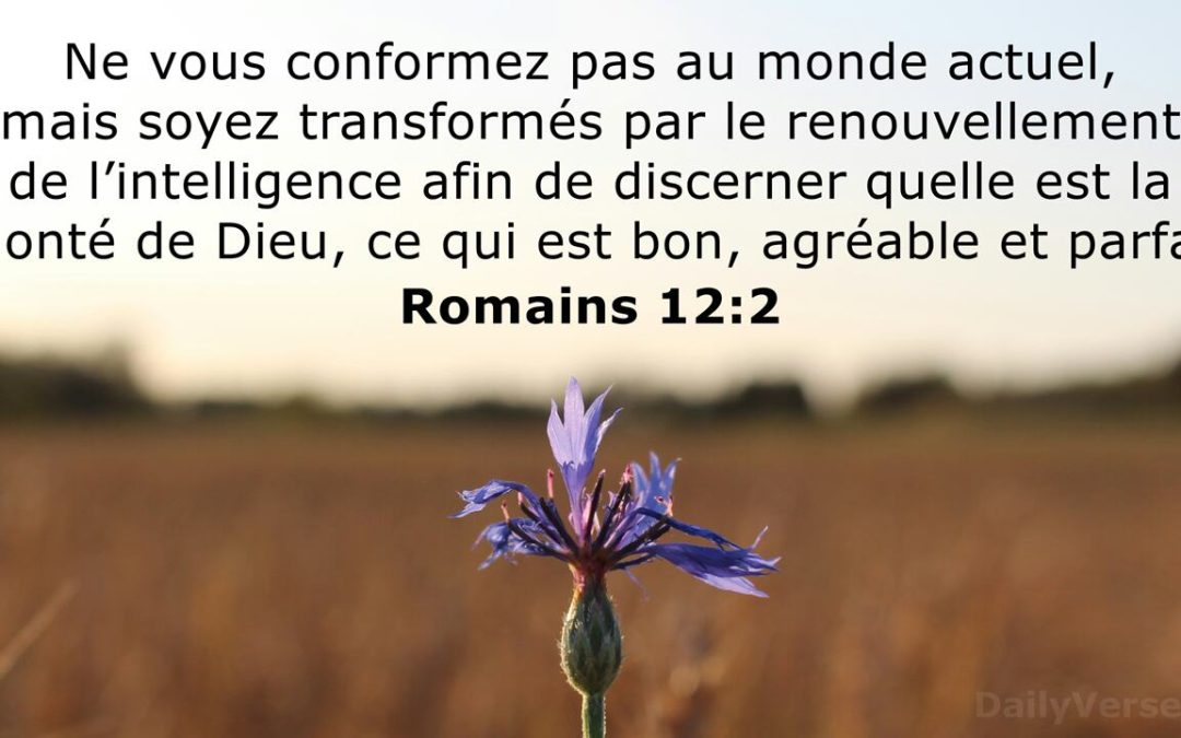 Conformer ou Transformer
