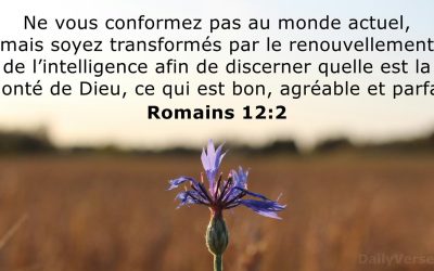 Conformer ou Transformer