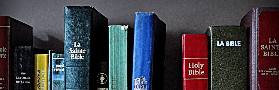 La vocation divine de l&rsquo;être humain